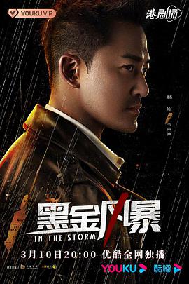 黑金风暴国语第25集