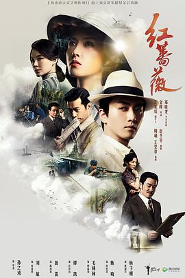 红蔷薇第14集
