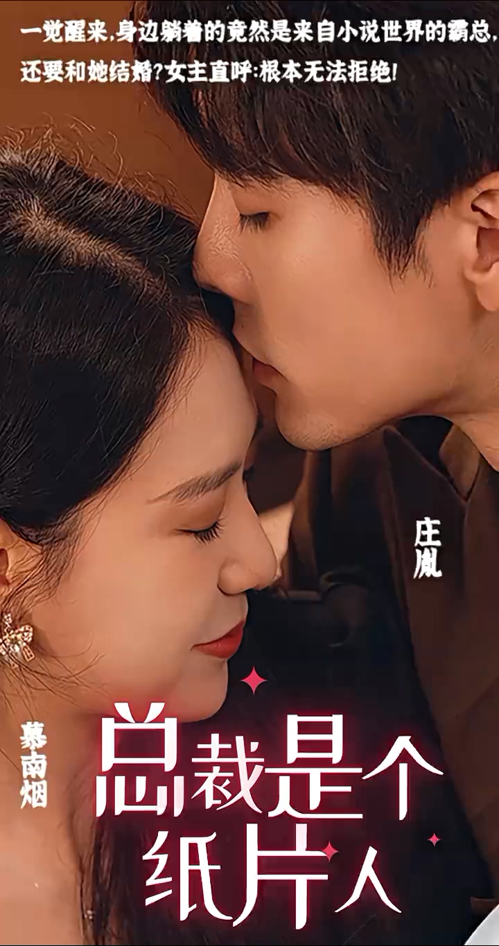 总裁是个纸片人第14集