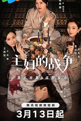 主妇的战争第10集